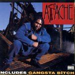 Apache Ain't Shit (1993)